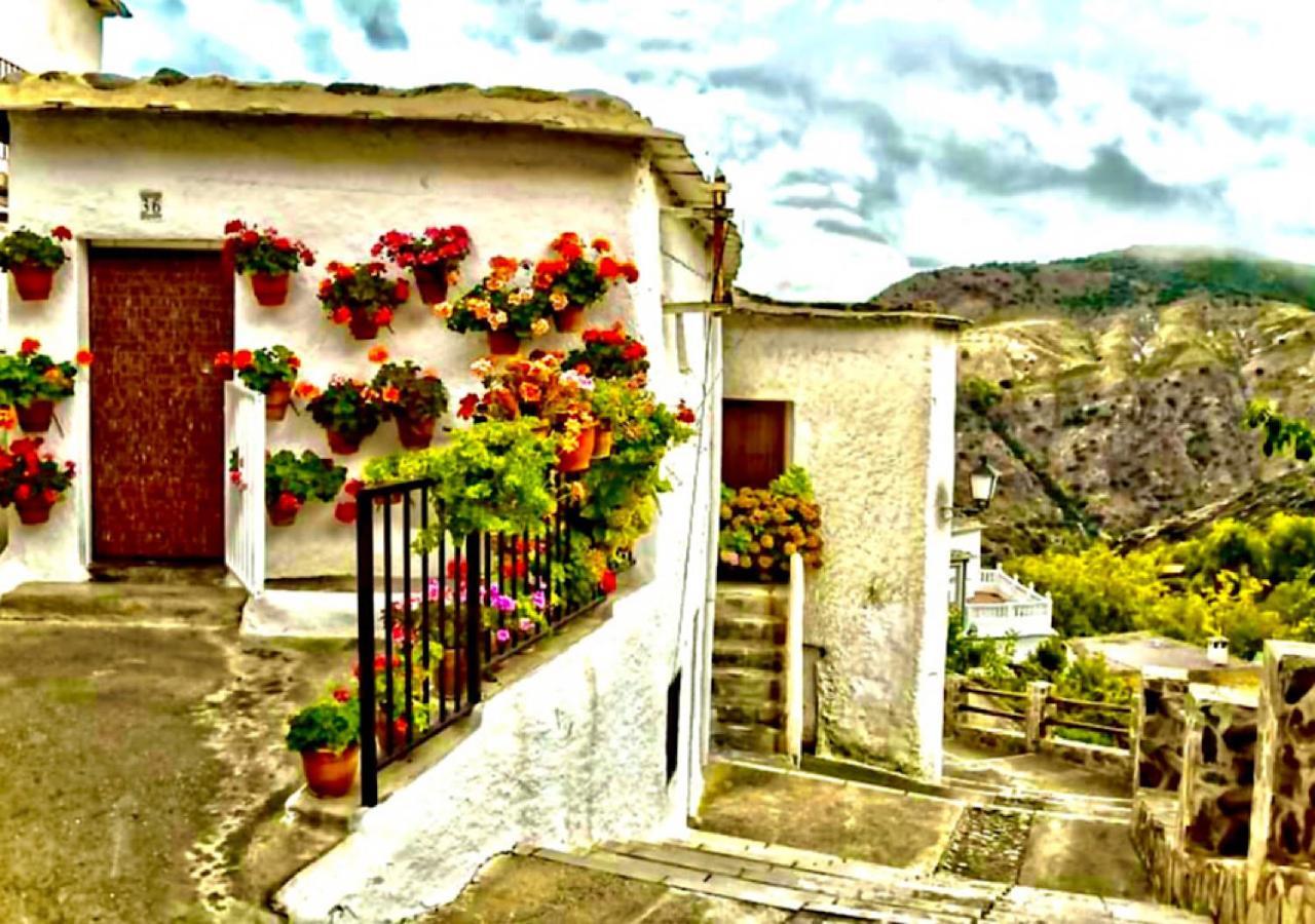 Casa En Busquistar Daire Dış mekan fotoğraf
